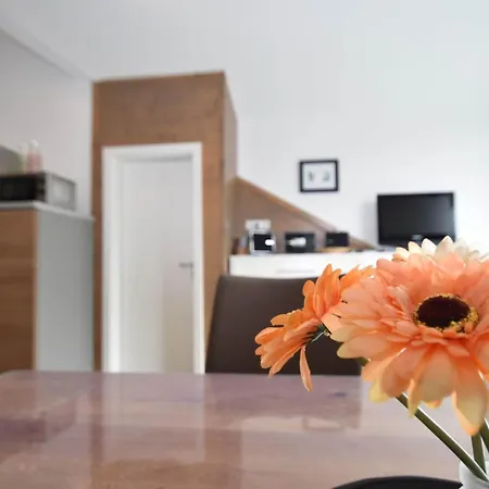 2 Separate Mit Balkon An Der Skipiste, Cleaning Included Apartment *