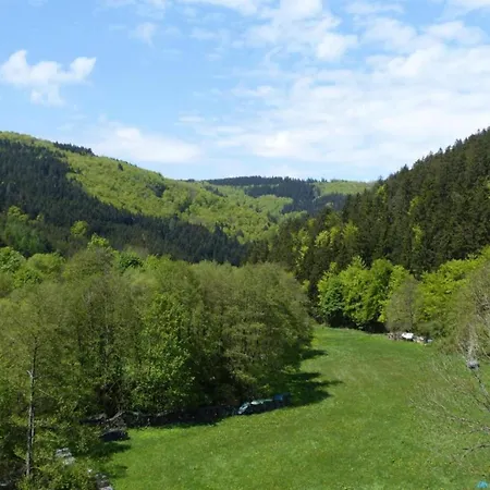 Apartment 2 Separate Mit Balkon An Der Skipiste, Cleaning Included Willingen (Upland)